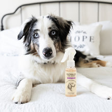 Load image into Gallery viewer, Waterless Dog Wash