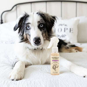 Waterless Dog Wash